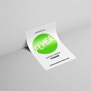 Flyer Economy (Glossy paper 170gsm)